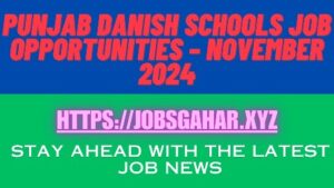 Punjab Danish Schools Job Opportunities – November 2024