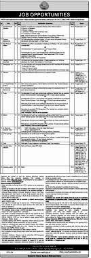 Advertisement of WAPDA Jobs